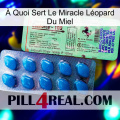 À Quoi Sert Le Miracle Léopard Du Miel new02